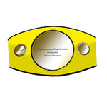 Championship Belt Design #7