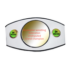 Championship Belt Design #7