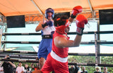 Elite Amateur Boxing Competition Shorts